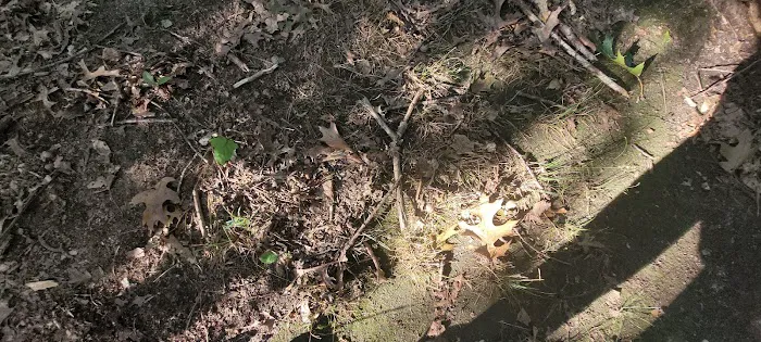 Robert J. Henke Nature Preserve Passive Park Picture 6
