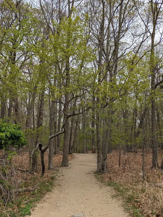 Avalon Hiking Trails Picture 3