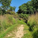 Avalon Hiking Trails