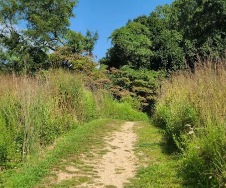Avalon Hiking Trails