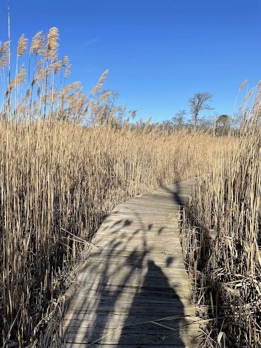South Shore Nature Center Picture 3