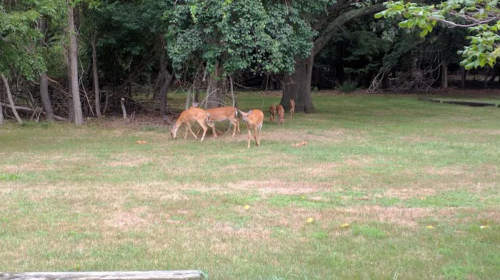 South Shore Nature Center Picture 1