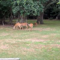 South Shore Nature Center ico
