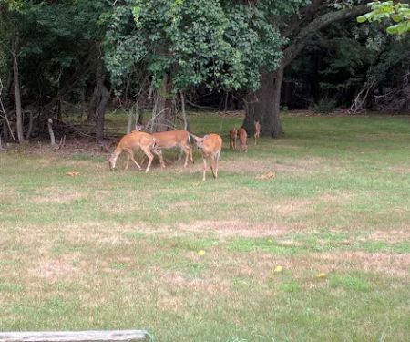 South Shore Nature Center