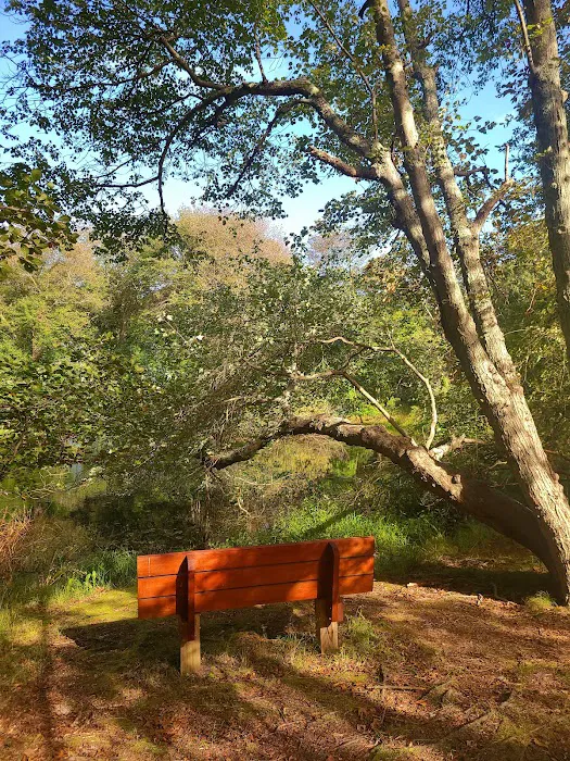 South Shore Nature Center Picture 9