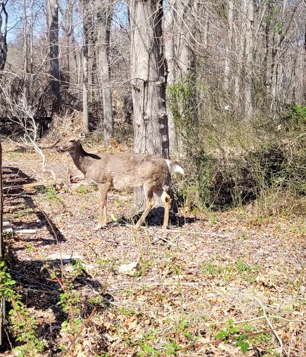 South Shore Nature Center Picture 10