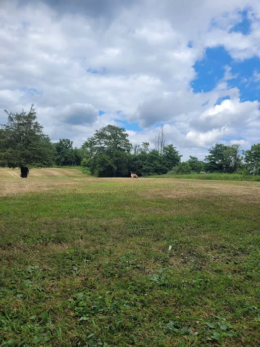 Elwood Park Picture 4
