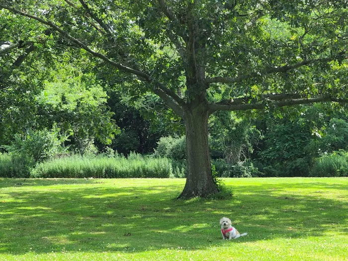 Elwood Park Picture 6