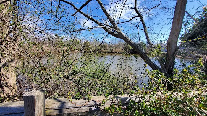 Veterans Park Picture 7