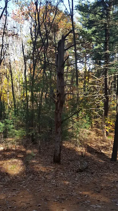 Meadowlark Park Picture 1