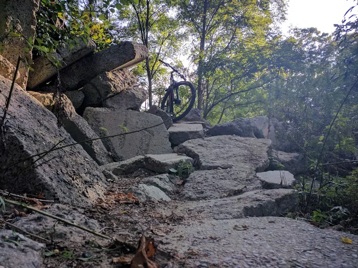 Meadowlark Park Picture 7