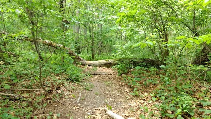 Berkeley Jackson County Park Picture 3