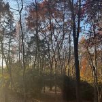 MANOR PLAINS NATURE PARK