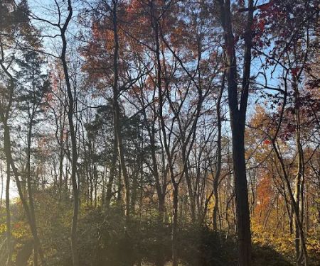 MANOR PLAINS NATURE PARK