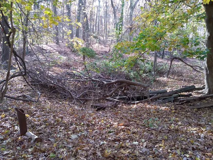 Knolls Park Picture 1
