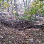 Knolls Park