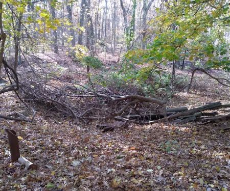 Knolls Park