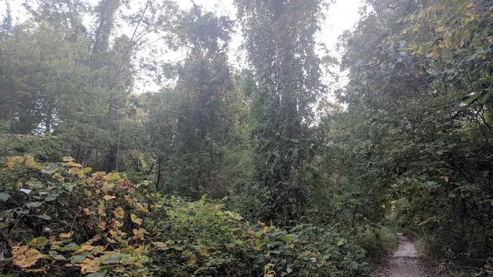 Knolls Park Picture 4