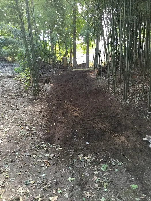 Knolls Park Picture 6