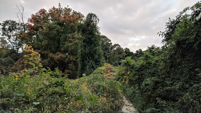 Knolls Park Picture 8