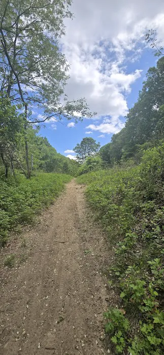 Parking meadowlark park bike trail Picture 10
