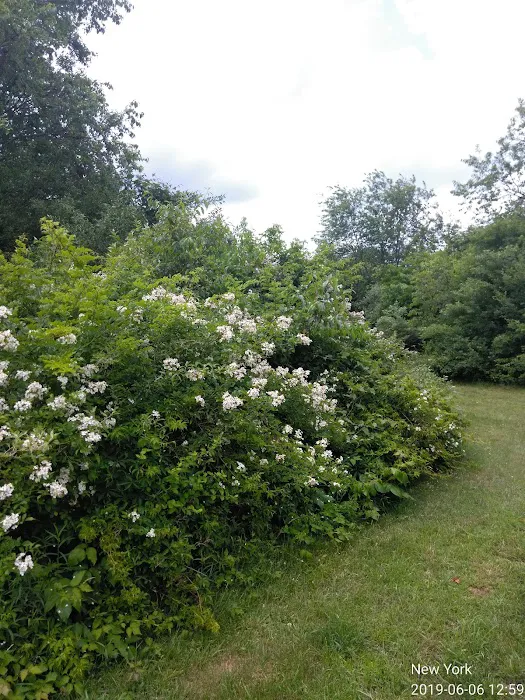 Squires Nature Park Picture 2