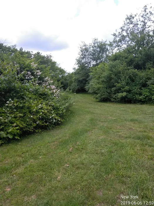 Squires Nature Park Picture 3