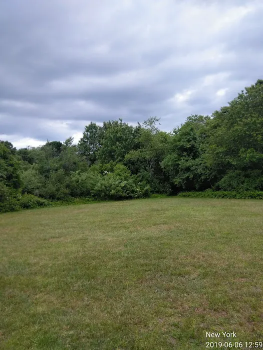 Squires Nature Park Picture 4