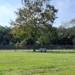Roberts Street Park