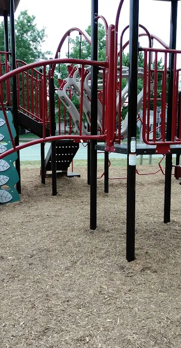Roberts Street Park Picture 6
