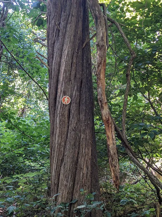 Rassapeague County Park Picture 2