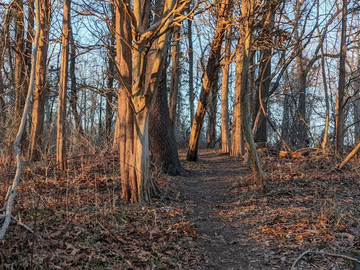 Rassapeague County Park Picture 3