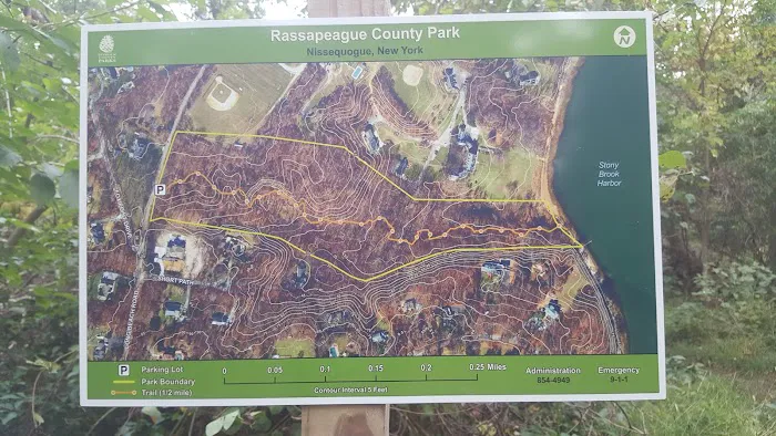 Rassapeague County Park Picture 4