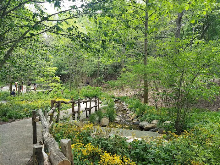 Avalon Nature Preserve Picture 9