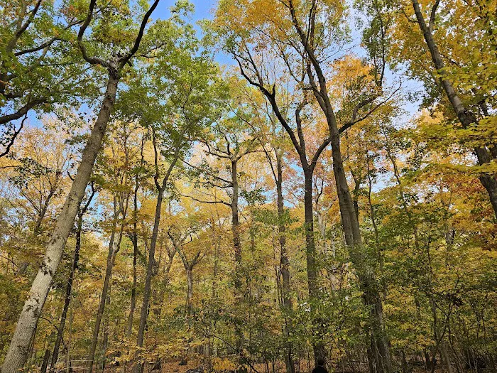 Avalon Nature Preserve Picture 10