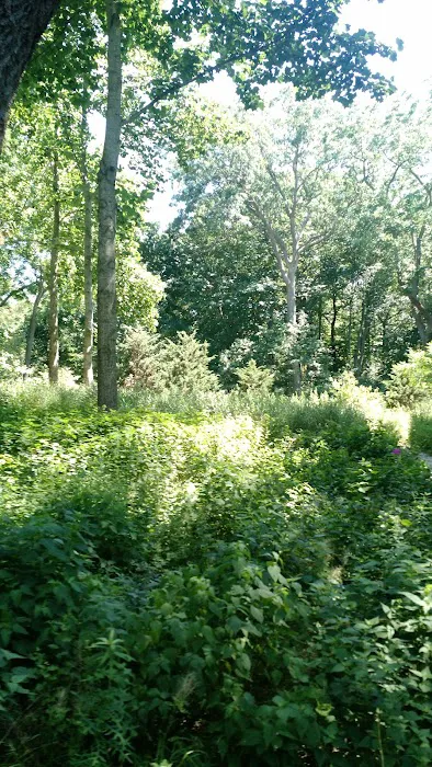 T. Bayles Minuse Mill Pond Park Picture 9