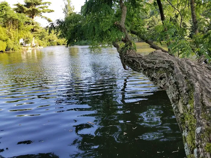T. Bayles Minuse Mill Pond Park Picture 10