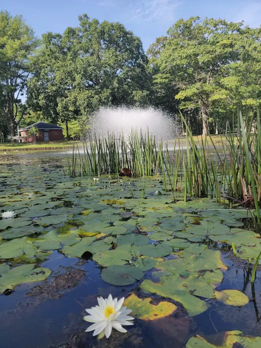Byron Lake Park Picture 10