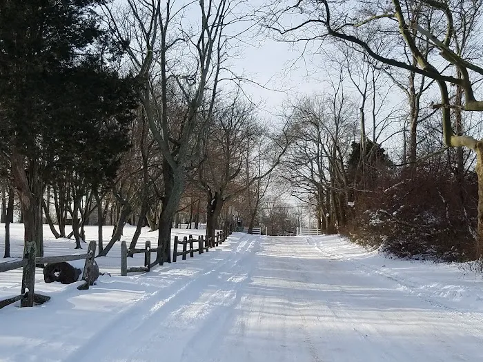 Timber Point County Park Picture 4