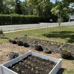 Charlotte Community Garden of Oakdale