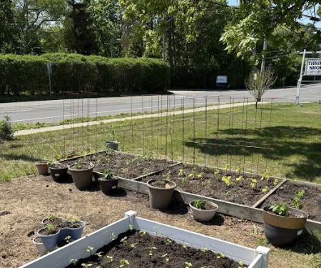 Charlotte Community Garden of Oakdale