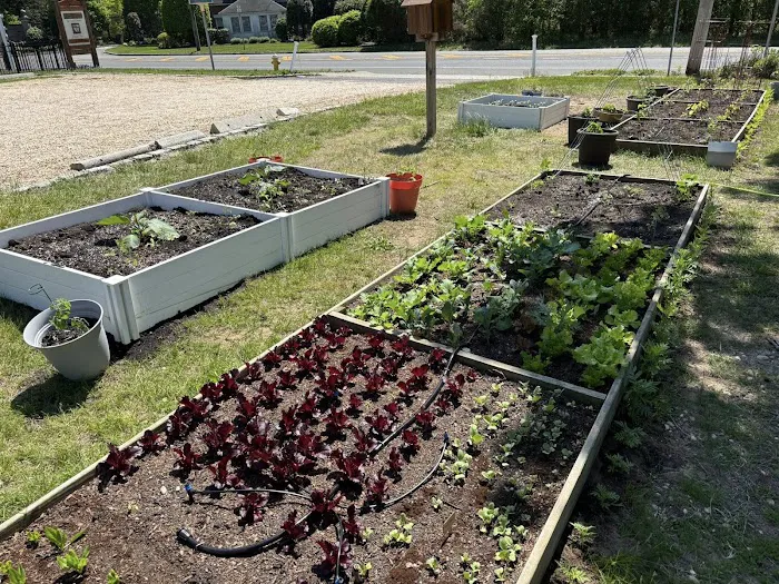 Charlotte Community Garden of Oakdale Picture 4