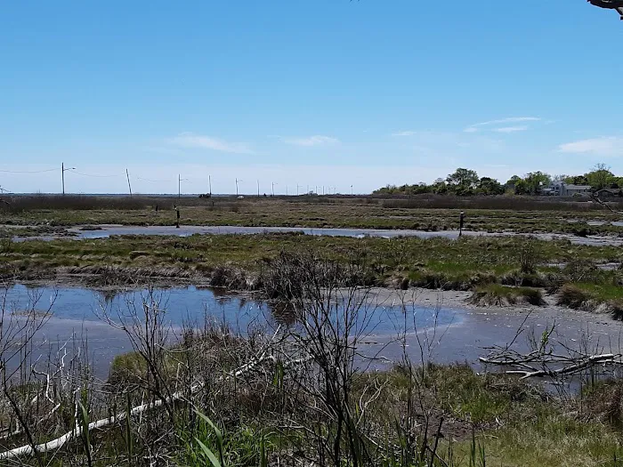 Suffolk County Environmental Center (Scully Estate) Picture 2