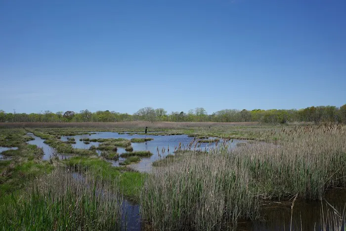 Seatuck National Wildlife Refuge Picture 1