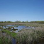 Seatuck National Wildlife Refuge