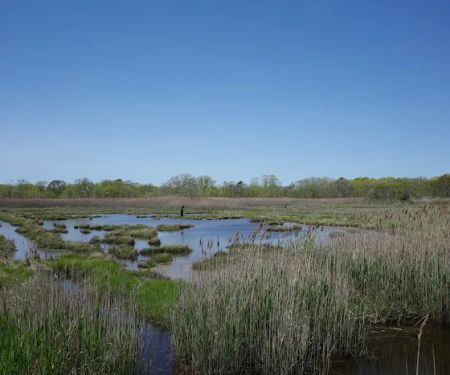 Seatuck National Wildlife Refuge