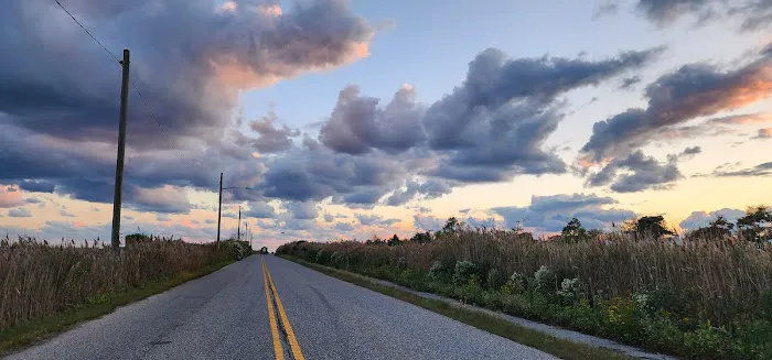 Seatuck National Wildlife Refuge Picture 8