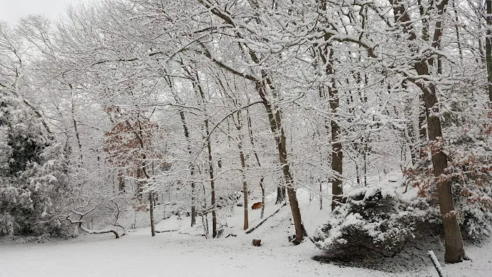 Strathmore Park Picture 2