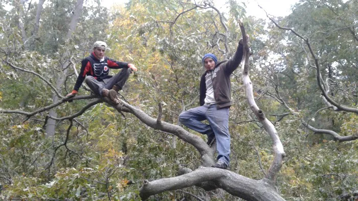 Strathmore Park Picture 4