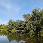 Deer Lake Fishing